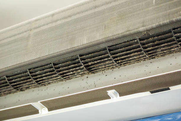 Best Duct Cleaning for Offices  in Crescent City, CA